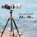 K&F Concept 78 inch Camera Tripod for DSLR Compact Aluminum Tripod with 360 Degree Ball Head and 10KG Load for Travel and Work K234A7+BH-28L (S210)