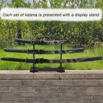 3pc Set Japanese Samurai Sword with Display Stand,Iaido Katana Engraved with Dragon Pattern On The Scabbard