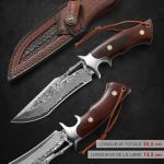 Omesio Damascus Hunting Knife, 10.04'' Damascus Steel Fixed Blade Knife Full Tang, Outdoor Survival Camping Damascus Knife with Sheath, Japanese Style, Wooden Handle with Gift Box