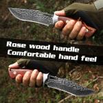 DRACHENADER Damascus Hunting Knife Handmade VG10 67-Layers Damascus Steel Bowie Knife with Real Leather Sheath Fixed Blade for Men, Wood Handle