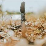 Smith & Wesson Accessories Smith & Wesson Unwavered Folder Featuring Engraved Rosewood Handle, Drop Point Blade, and 8Cr13MoV Stainless Steel,Brown