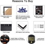 Jinchuan Knife Display Case - Pocket Knife Stand for Collections - Military Folding Knife Shadow Box Wall Cabinet with Uv Protection Acrylic Lockable,Small Black