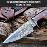 BIGCAT ROAR 10″ PATENTED Handmade Damascus Hunting Knife with Leather Sheath - Ideal for Skinning, Camping, Outdoor - EDC Fixed Blade Bushcraft Knife with Walnut Wood Handle - Predator Hunter