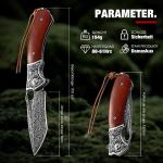 DRACHENADER Damascus Steel Folding Pocket Knife with VG10 Core, Wooden Handle & Leather Sheath, Outdoor Knife and Gift for Collectors, Knife Lovers, and Enthusiasts