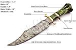 NoonKnives : Hand Made Damascus Steel Collectible gutt Bowie Knife Handle Camel Bone (green)