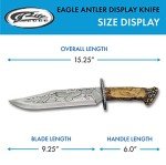 Szco Supplies 15" Etched Blade Deer Outdoor Hunting Knife With Resin Antler Display Stand,Brown