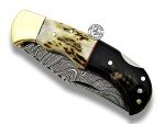 Stag Horn & Buffalo Horn 6.5'' 100% Handmade Damascus Steel Folding Pocket Knife 100% Prime Quality
