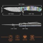 AUBEY Damascus Pocket Knife for Women Men, Sharp 3.23" Damascus Steel Blade Knife with Clip, EDC Hunting Knives with Abalone Shell Handle, Gift for Camping Outdoor