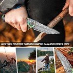 AUBEY Damascus Pocket Knife for Women Men, Sharp 3.23" Damascus Steel Blade Knife with Clip, EDC Hunting Knives with Abalone Shell Handle, Gift for Camping Outdoor