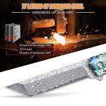 AUBEY Damascus Pocket Knife with Clip, Sharp Tanto Blade with VG10 Core Folding Knife with Abalone Shell Handle and Glass Breaker, EDC Camping Knife for Gift Survival Collection