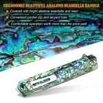 AUBEY Damascus Pocket Knife with Clip, Sharp Tanto Blade with VG10 Core Folding Knife with Abalone Shell Handle and Glass Breaker, EDC Camping Knife for Gift Survival Collection