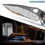 Minowe handmade Japan Damascus steel pocket knife，3.1" VG10 blade men and women Folding knife，With holster，Lining lock，resin and Maple handle，Suitable for EDC outdoor camping，go fishing hunting