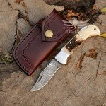 Lara Eagle Damascus Pocket Knife for Men - 133 Layer Solid Steel Handmade Folding Hunting Knives with Sharpner and Leather Pouch - Best Knife for Camping Hunting Hiking - Father’s Day Gifts for Men Husband Dad (Staghorn, Camel Bone)