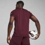 Men’s Manchester City FC 2024/25 Replica Third Soccer Jersey - Burgundy - Size: M