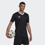adidas Men's Entrada 22 Jersey, Black, Medium