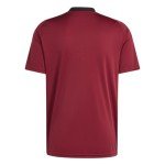 adidas Men's Belgium 2024 Home Fan Jersey, Team Collegiate Burgundy, Large