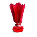 Kickit | The Original Birdie Soccer Trainer | Play Outdoors, Indoors or Backyard, Beach or Tailgate (Red)