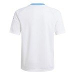 adidas Men's Argentina Jersey, White/Blue Burst 2024, Medium