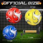 Deekin 6 Pcs Soccer Ball with Pump Official Outside Sport Soccer Machine Stitched Ball for Training Practice Gift for Child Adult(Size 3)