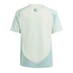adidas Boys' Mexico 2024 Away Jersey, Linen Green