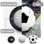 DHYLRICHER 6 Pcs Classic Soccer Balls Size 5 with Ball Pump and Net Bag, Training and Practice Soccer Balls for Kids and Adults, Competition Soccer Balls for Indoor and Outdoor