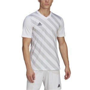 adidas Men's Entrada 22 Graphic Jersey, White/Team Light Grey, Small