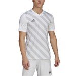adidas Men's Entrada 22 Graphic Jersey, White/Team Light Grey, Small