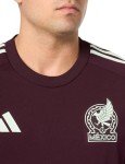 adidas Men's Mexico Jersey, Dark Burgundy 2024