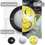 DHYLRICHER 6 Pack Size 5 Soccer Balls for Training & Matches – Official Size & Weight, Includes Carry Net, Needles, Air Pump – Ideal for Adult Players(Size 5)