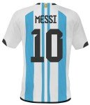 Argentina Soccer Jersey #10 Copa Mundial, World Cup Retro, Camiseta Argentina Numero 10, The G.O.A.T Jersey, Futbol (US, Alpha, Large, Regular, Regular, Albiceleste)