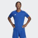 adidas Men's Tiro 23 Jersey, Team Royal Blue/White, Medium