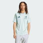 adidas Men's Mexico Jersey, Linen Green Away 2024