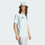 adidas Men's Mexico Jersey, Linen Green Away 2024