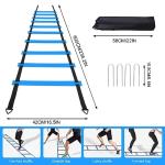 YGORTECH Soccer Training Equipment Set - 20FT Agility Ladder, 16 Soccer Cones, Speed and Agility Training Equipment for Indoor/Outdoor Practice Blue Ladder