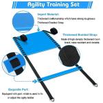 YGORTECH Soccer Training Equipment Set - 20FT Agility Ladder, 16 Soccer Cones, Speed and Agility Training Equipment for Indoor/Outdoor Practice Blue Ladder
