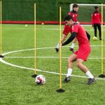 Neoaider 6 FT Agility Poles for Soccer, Basketball, Rugby, Dog, 4 Pack Detachable Soccer Agility Poles w/Rubber Bases, Indoor & Outdoor Use Soccer Poles for Training