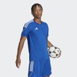 adidas Men's Tiro 23 Jersey, Team Royal Blue/White, Large