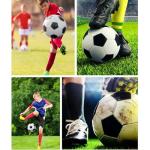 DHYLRICHER 6 Pcs Deflated Soccer Ball Bulk with Pump Size 5 Sport Soccer Ball Training Ball for Adult Soccer for Game Match Birthday Party Gift