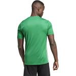 adidas Mens Equipo 23 Jersey Team Green/White X-Large