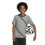 adidas Boy's Hispanic Celebration Pre-Match Jersey, Multicolor, Medium