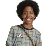 adidas Boy's Hispanic Celebration Pre-Match Jersey, Multicolor, Medium