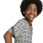 adidas Boy's Hispanic Celebration Pre-Match Jersey, Multicolor, Medium