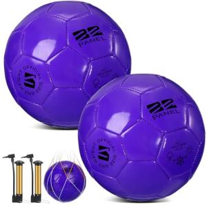 Shappy 2 Pcs Operation Christmas Soccer Balls Bulk with Pump, Mesh Bag Official Size 3 4 5 Indoor Outdoor Colorful Soccer Ball for Practice Game Sport Soft Gift for Child Adult(Size 4,Dark Purple)
