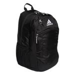 Striker Team Sports Backpack for soccer and more, workout bag for men and women