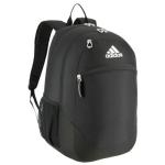 Striker Team Sports Backpack for soccer and more, workout bag for men and women