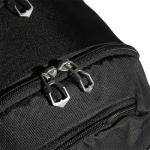 Striker Team Sports Backpack for soccer and more, workout bag for men and women