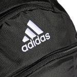 Striker Team Sports Backpack for soccer and more, workout bag for men and women