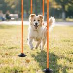 6 Pack Soccer Agility Training Poles, 5 FT Adjustable Speed and Agility Training Equipment for Football/Basketball/ Dog Practice, Bending Poles for Horses with Rubber Bases and Carry Bag（Orange）