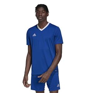 adidas Men's Size Entrada 22 Jersey, Team Royal Blue, Large/Tall