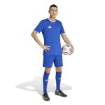 adidas Men's Entrada26 Jersey Men, Team Royal Blue/White, Large